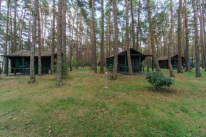 Urlaub im Bungalow mitten im Wald in Lütow